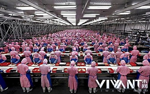 究竟门槛在哪？中国为什么谁都能做手机