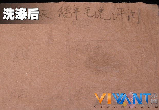 静音出色 小天鹅洗衣机“羊毛洗”评测 