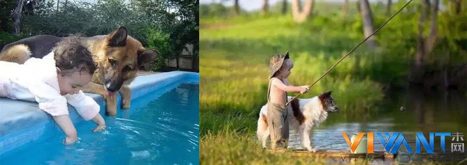 孩子与狗的故事 看完10组图心暖暖的