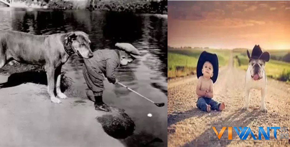 孩子与狗的故事 看完10组图心暖暖的