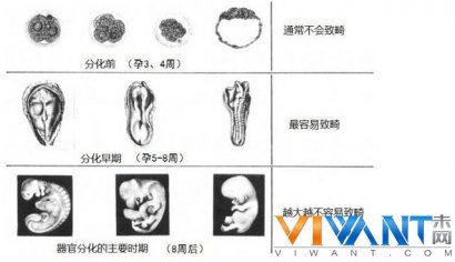 致畸没那么容易 关于医疗辐射的流言