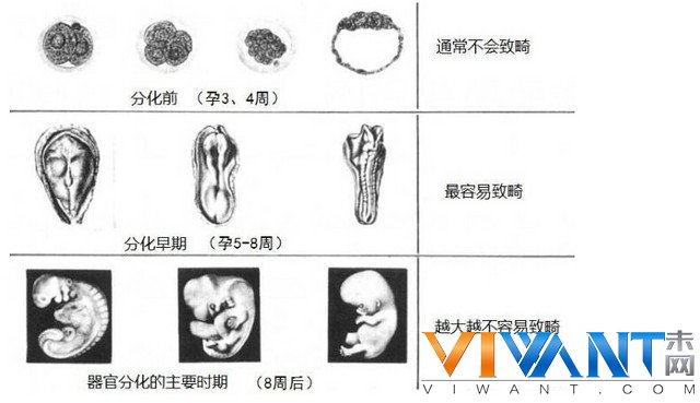致畸没那么容易 