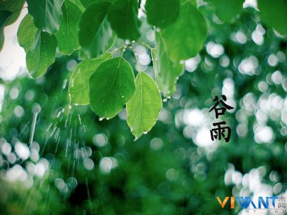 护肝健脾除湿 谷雨养生三大注意事项分享