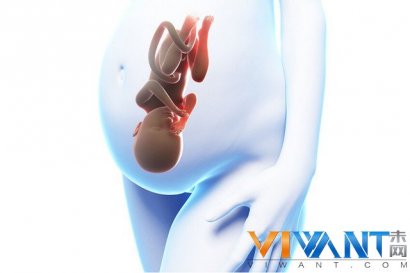 不能说的秘密 宝宝在子宫里会做什么