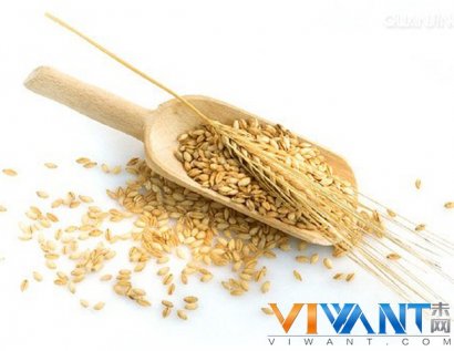 春季胃肠疾病高发 呵护胃肠食物大全