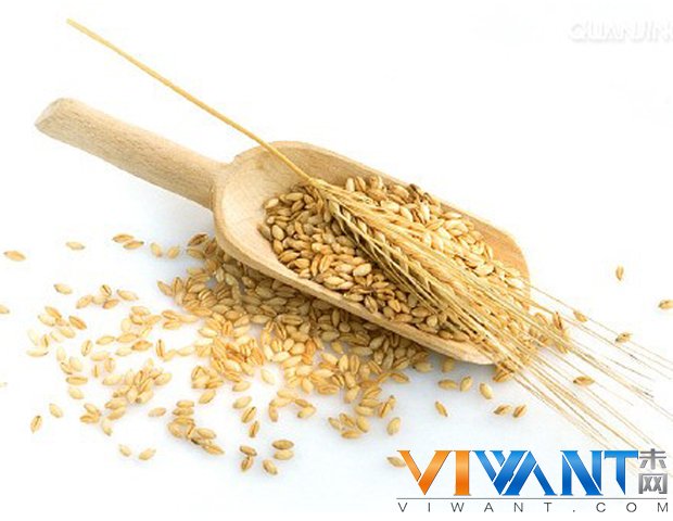 春季胃肠疾病高发 呵护胃肠食物大全 