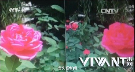 <b>呵呵！央视曝苹果三星等手机拍照不合格</b>