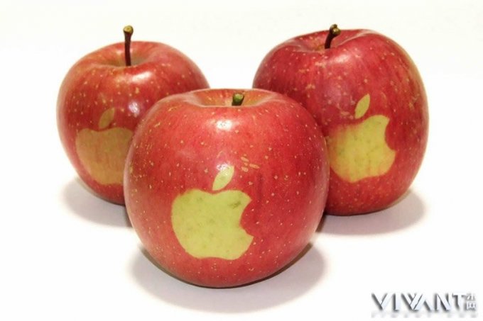 差在哪？iPhone 6s Plus对比拆箱