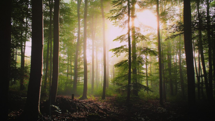 4K高端投影怎么选？当贝 X7 Ultra 旗舰三色激光投影仪测评 -31