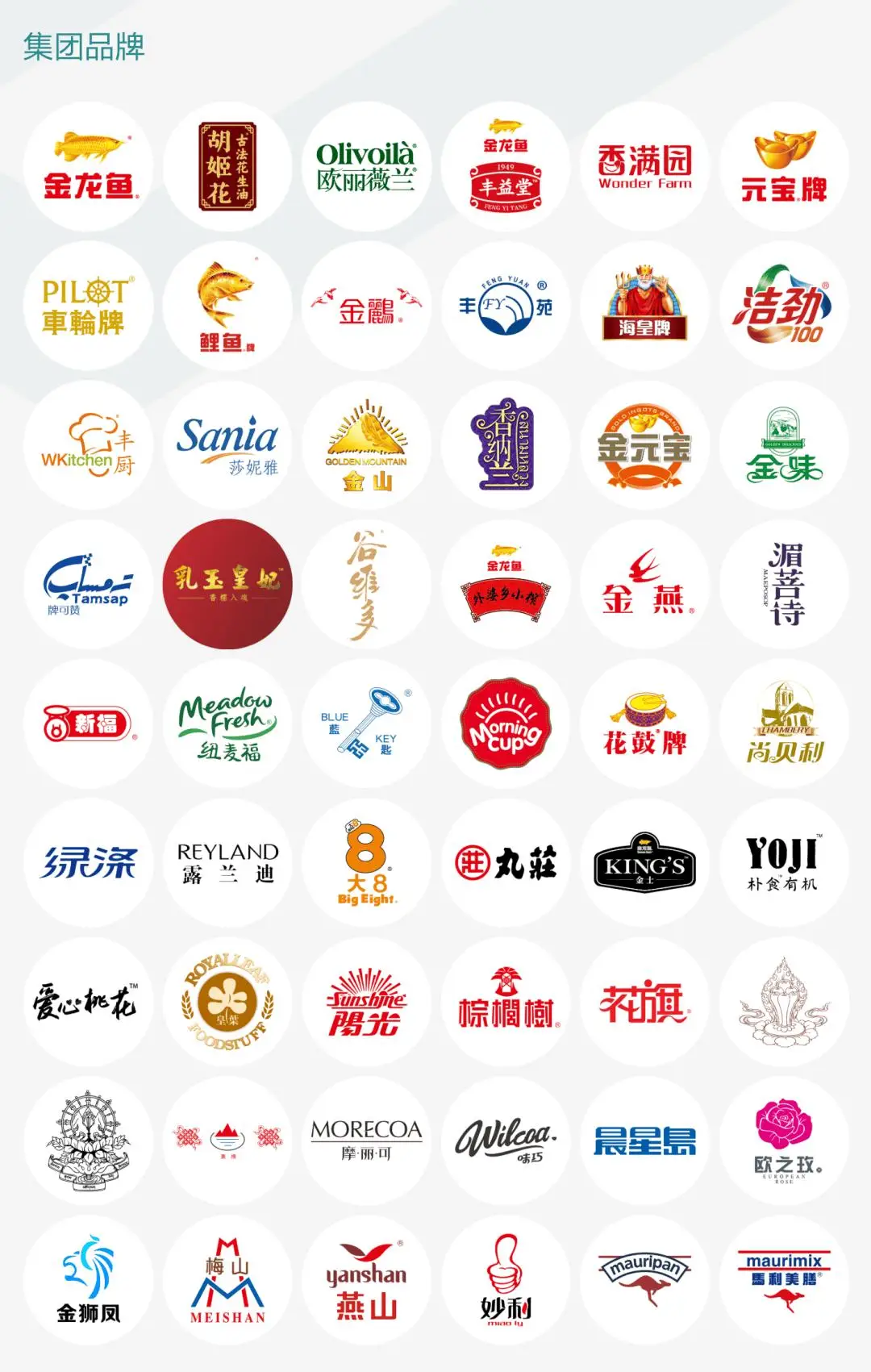 天坑！50亿骗局扯出金龙鱼，喊冤背后真相太离奇？ -1