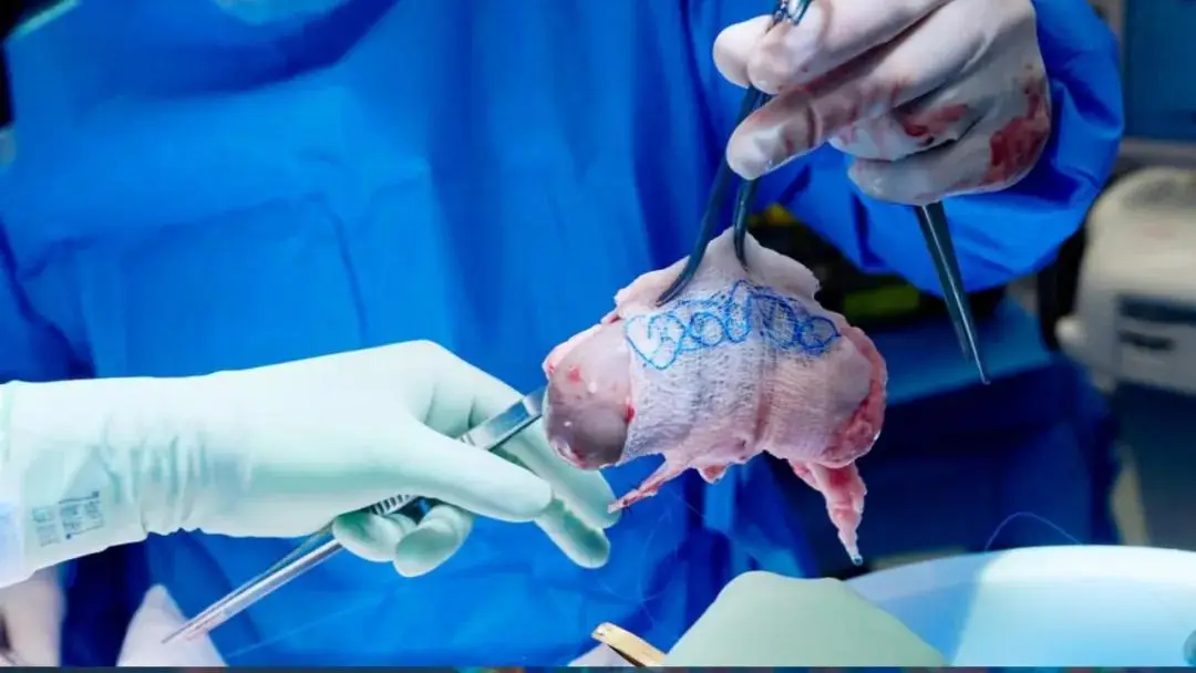 2025科学顶流！中国力量霸榜，这些突破正颠覆未来 -1