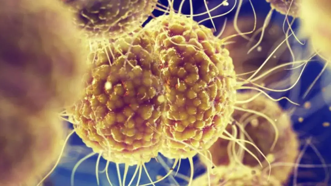 2025科学顶流！中国力量霸榜，这些突破正颠覆未来 -1