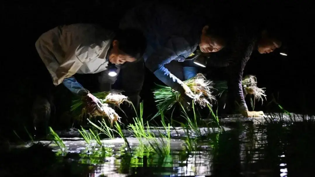 2025科学顶流！中国力量霸榜，这些突破正颠覆未来 -1