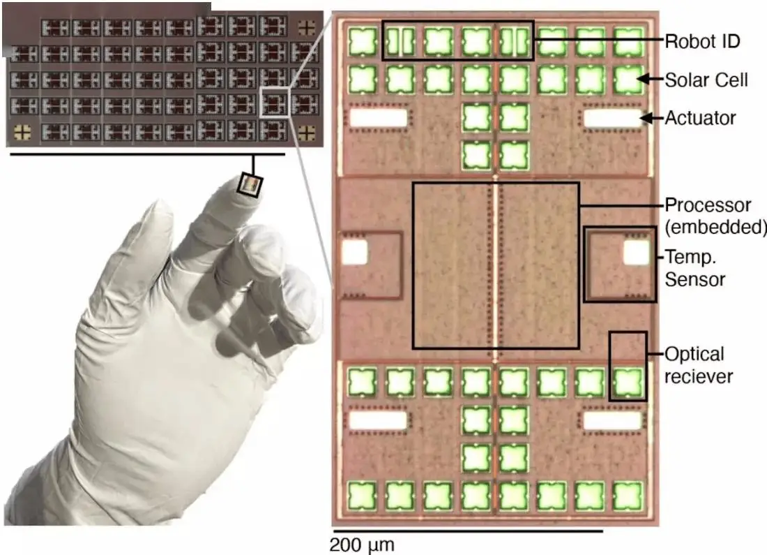 微观世界迎来智能革命：无缆无磁，这群“机器鱼”在血液里游起来了 -1