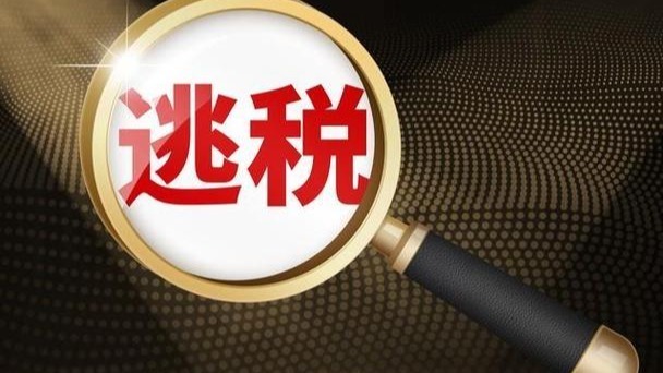 税网恢恢:41亿加油站黑幕与15亿网红逃税,谁在“裸泳”? -1 税网恢恢:41亿加油站黑幕与15亿网红逃税,谁在“裸泳”? -1