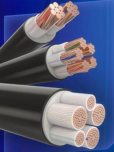 爱谱华顿 WDZB1-YJY 电缆:无卤低烟,高性能工程专用 -1 爱谱华顿 WDZB1-YJY 电缆:无卤低烟,高性能工程专用 -1