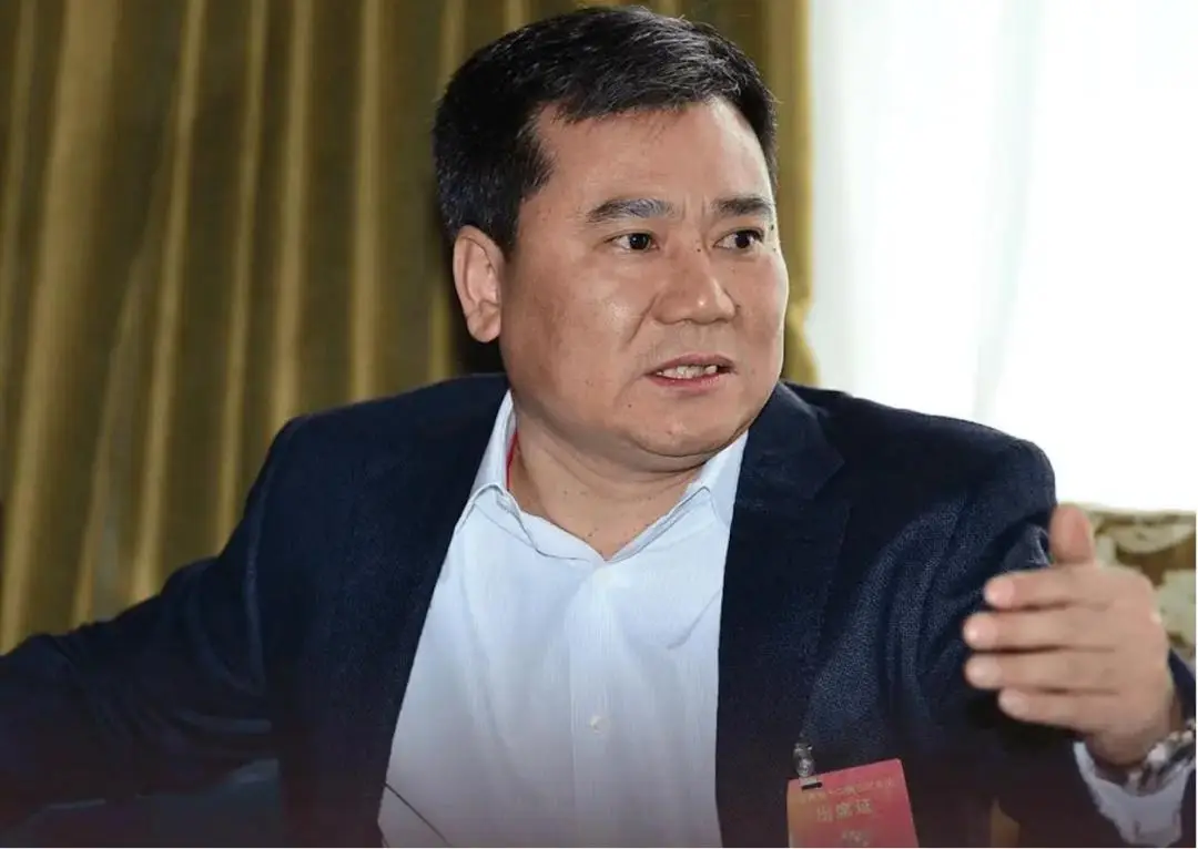 赌上全部身家!张近东最后一搏,苏宁艰难重生 -1 赌上全部身家!张近东最后一搏,苏宁艰难重生 -1