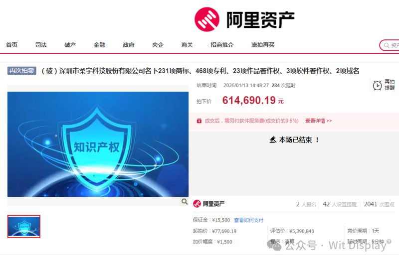 曾估值360亿的柔性屏“黑马”，如今核心资产仅拍出61万 -1