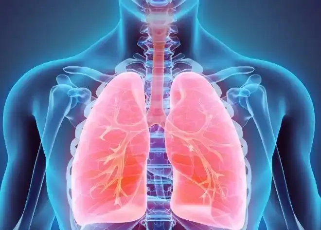 无肺生存48小时！美国黑科技“人工肺”成功续命，肺移植迎来新突破 -1