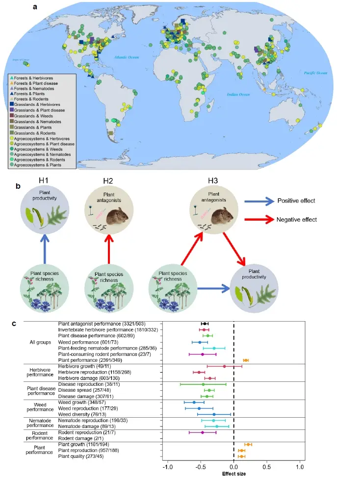 科学证实：菜园“混搭”才是防虫增产的终极密码！ -1