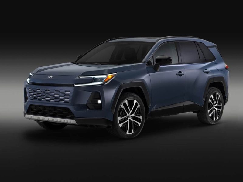 2025全球销冠竟不是特斯拉？这台“老实人”车闷声赢了全世界 -1