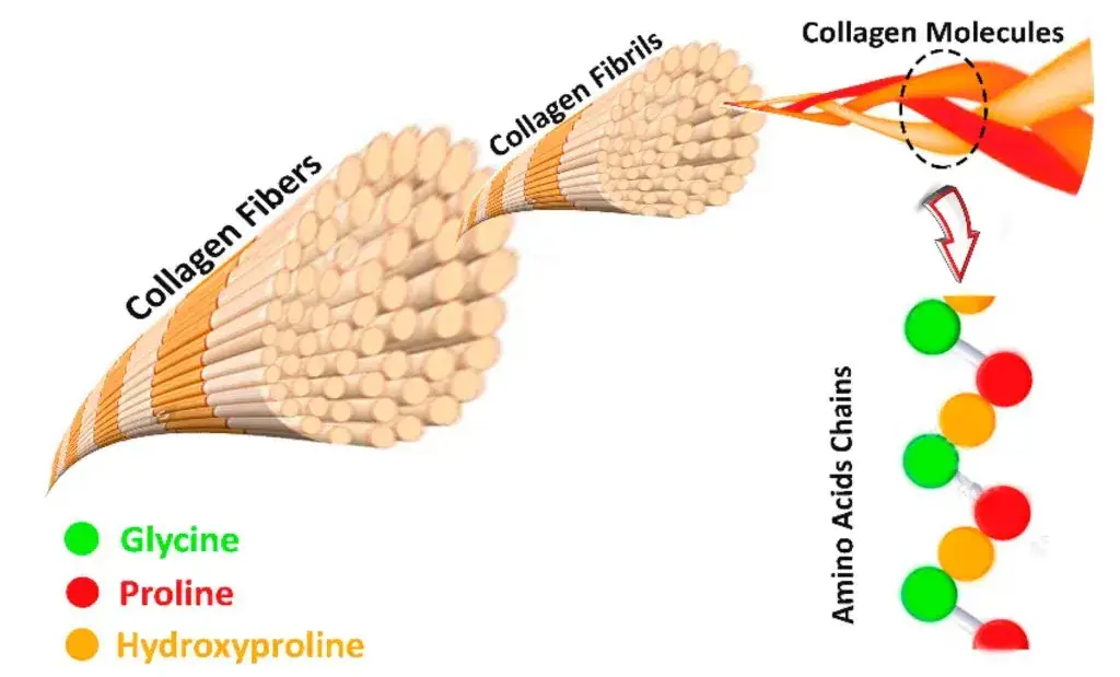 年夜饭的“大手牵小手”,吃的到底是胶原蛋白还是智商税? -1 年夜饭的“大手牵小手”,吃的到底是胶原蛋白还是智商税? -1