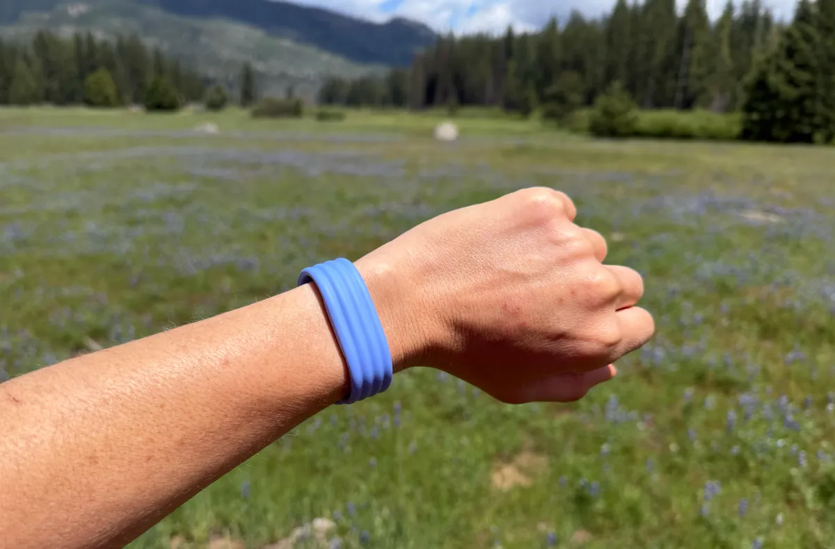 fitbit4.jpg