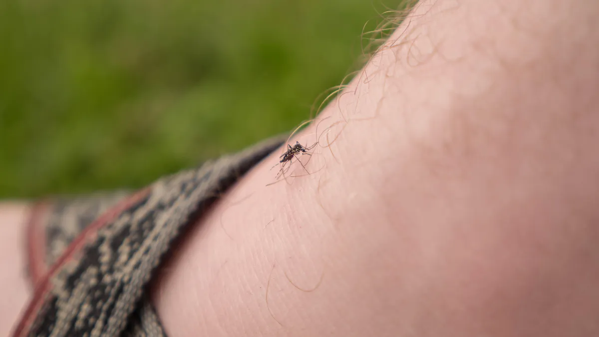 mosquito bite 2.jpg