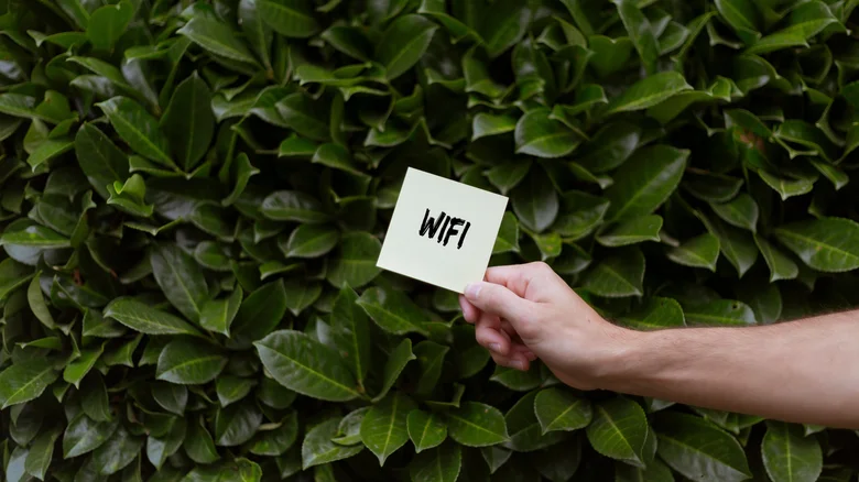 what does wi fi 7 actually mean 1782921556