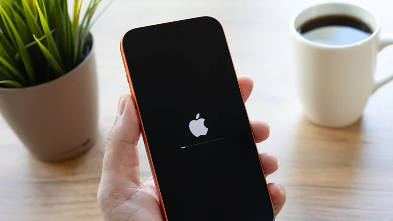is the sandisk extreme fit usb c compatible with iphones 1785340881