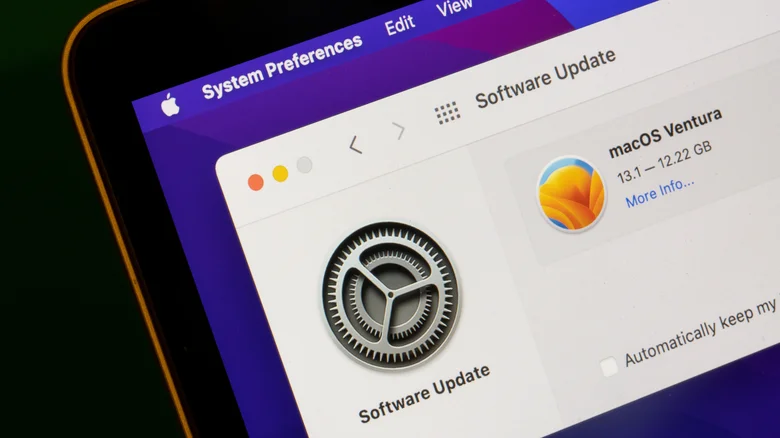 the primary factor macos support 1785171513