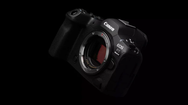 why digital cameras are worth it 1786982738
