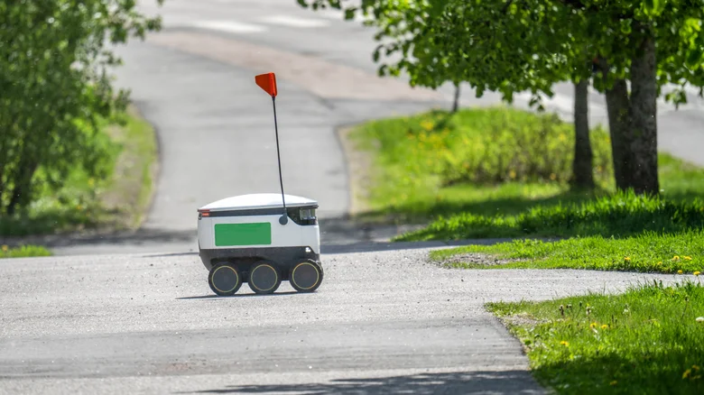 the future of delivery robots 1789135689