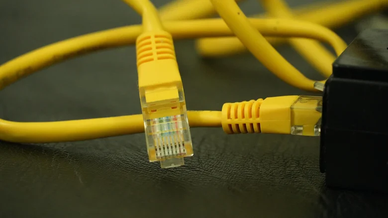 will two ethernet cables slow internet speed 1791217590